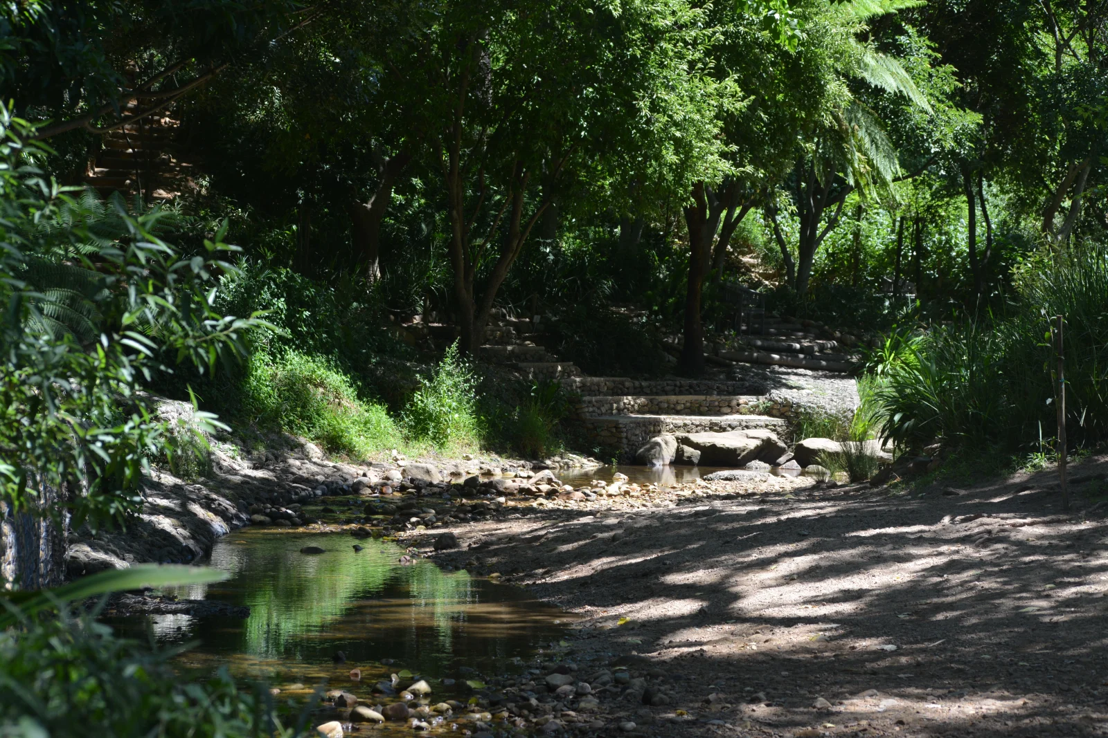 Upper Liesbeek River Garden — Park in Western Cape