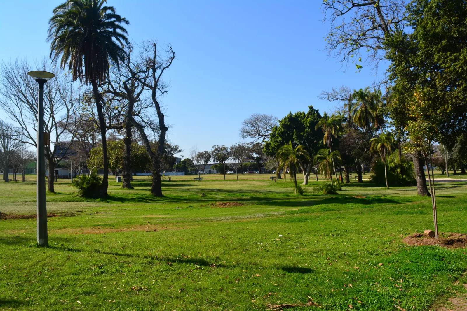 Maynardville Park — Park in Cape Town