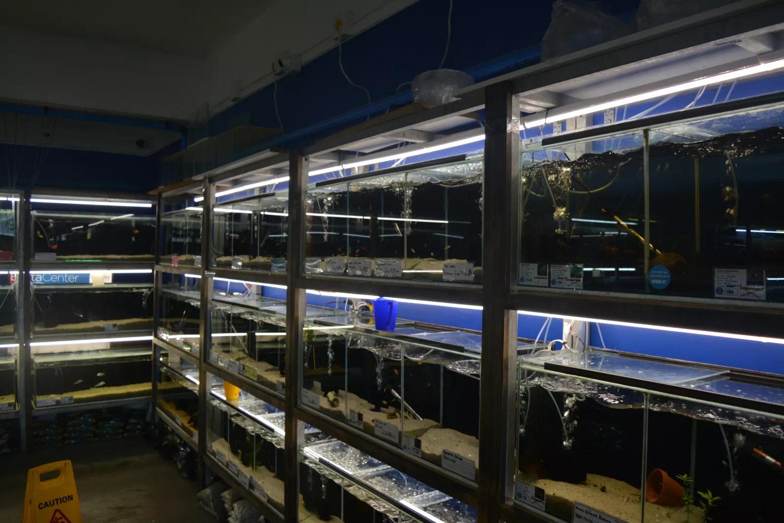 Sam's Aquarium — Pet Shop in Cape Town