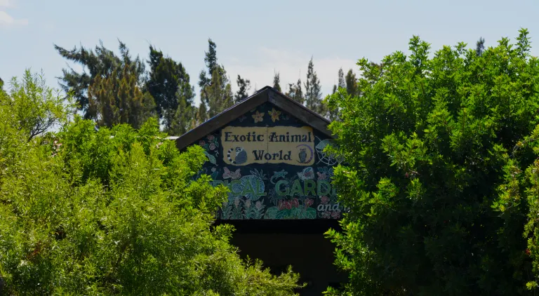 Exotic Animal World