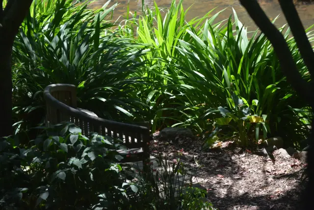 Upper Liesbeek River Garden gallery photo 1