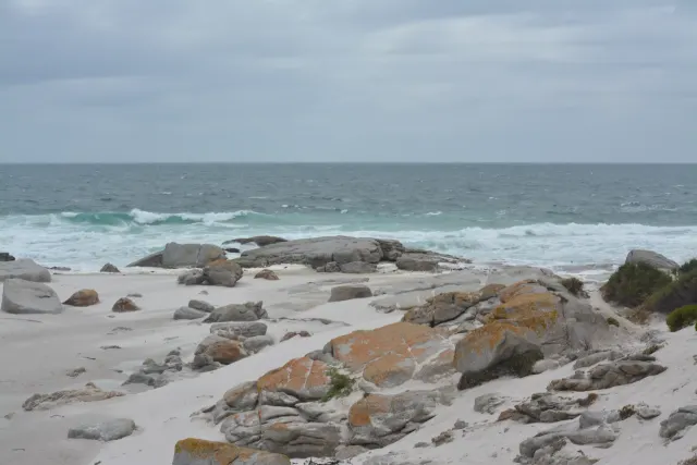 Noordhoek beach gallery photo 2