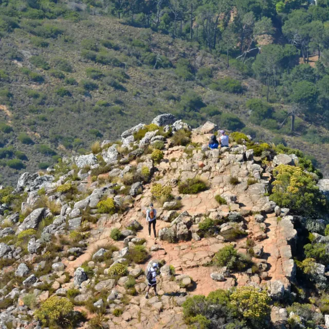 Lion's Head Hike gallery photo 2