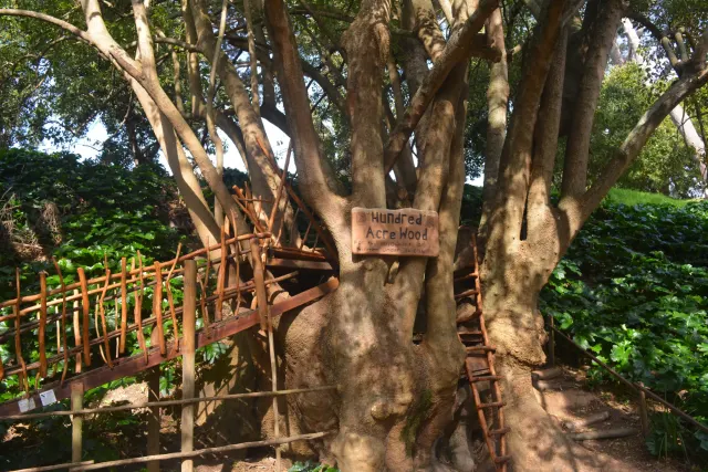 Paradise Park gallery photo 3
