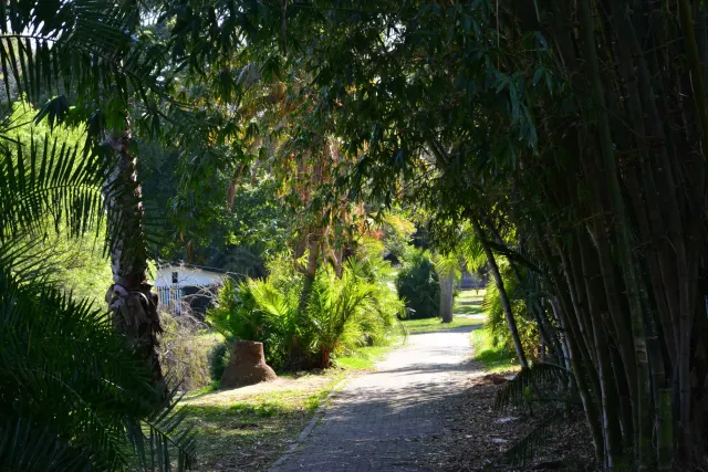 Maynardville Park gallery photo 3
