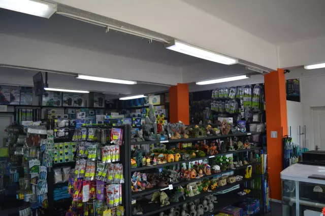 Sam's Aquarium gallery photo 1