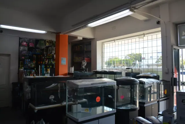 Sam's Aquarium gallery photo 2