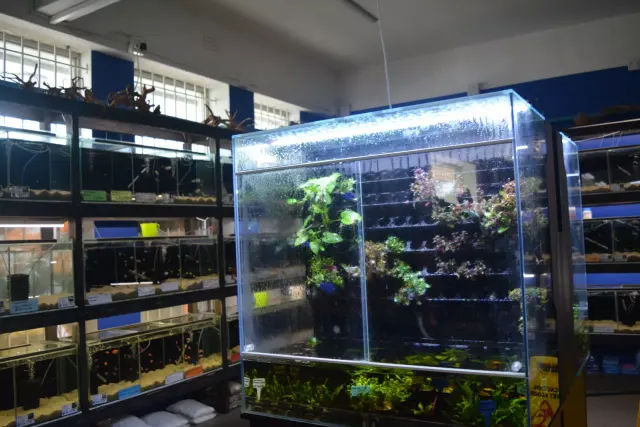 Sam's Aquarium gallery photo 3