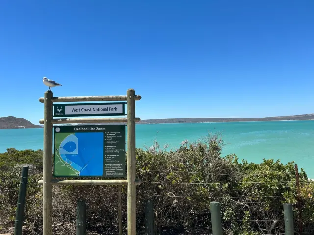 West Coast National Park gallery photo 2