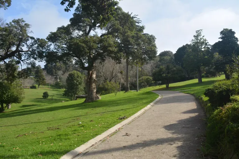 Wynberg Park