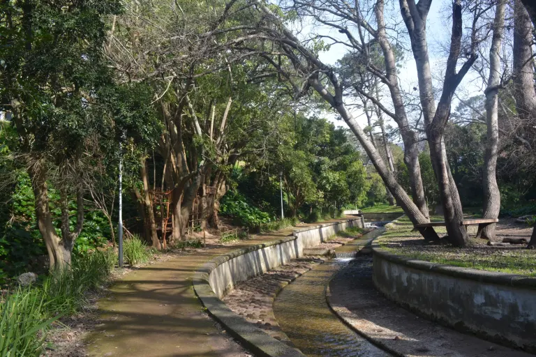 Paradise Park