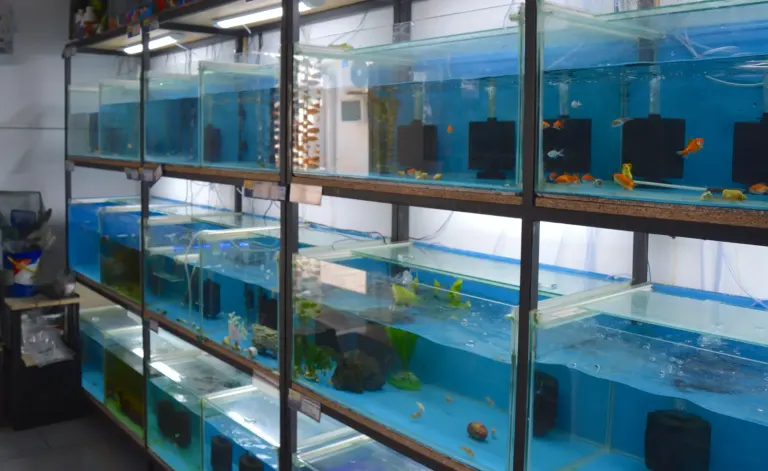 Pets Aquaria
