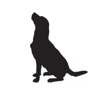 Fat Harry's logo
